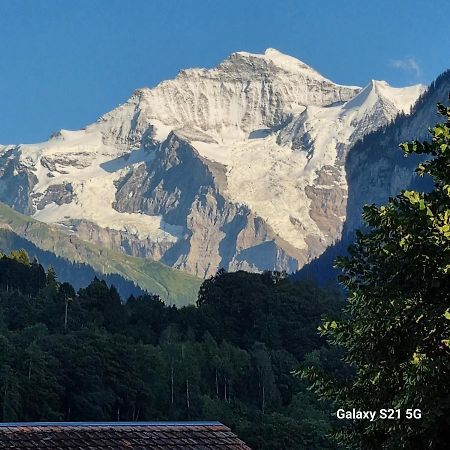 Mountain - Lake Apartment 3 Wilderswil Esterno foto