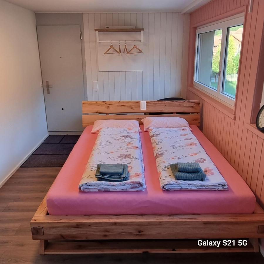 Mountain - Lake Apartment 3 Wilderswil Esterno foto