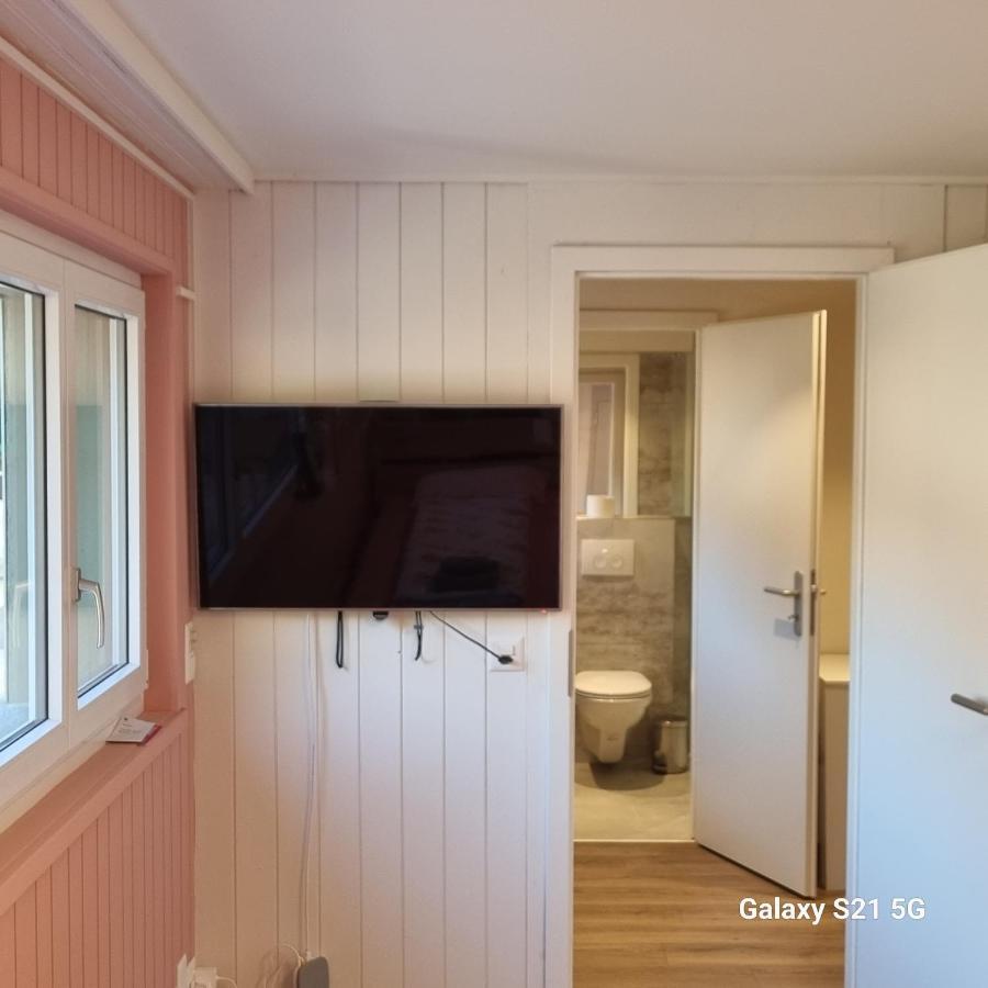 Mountain - Lake Apartment 3 Wilderswil Esterno foto